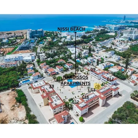 アパート Narcissos 'nissi Beach' C5 アヤナパ